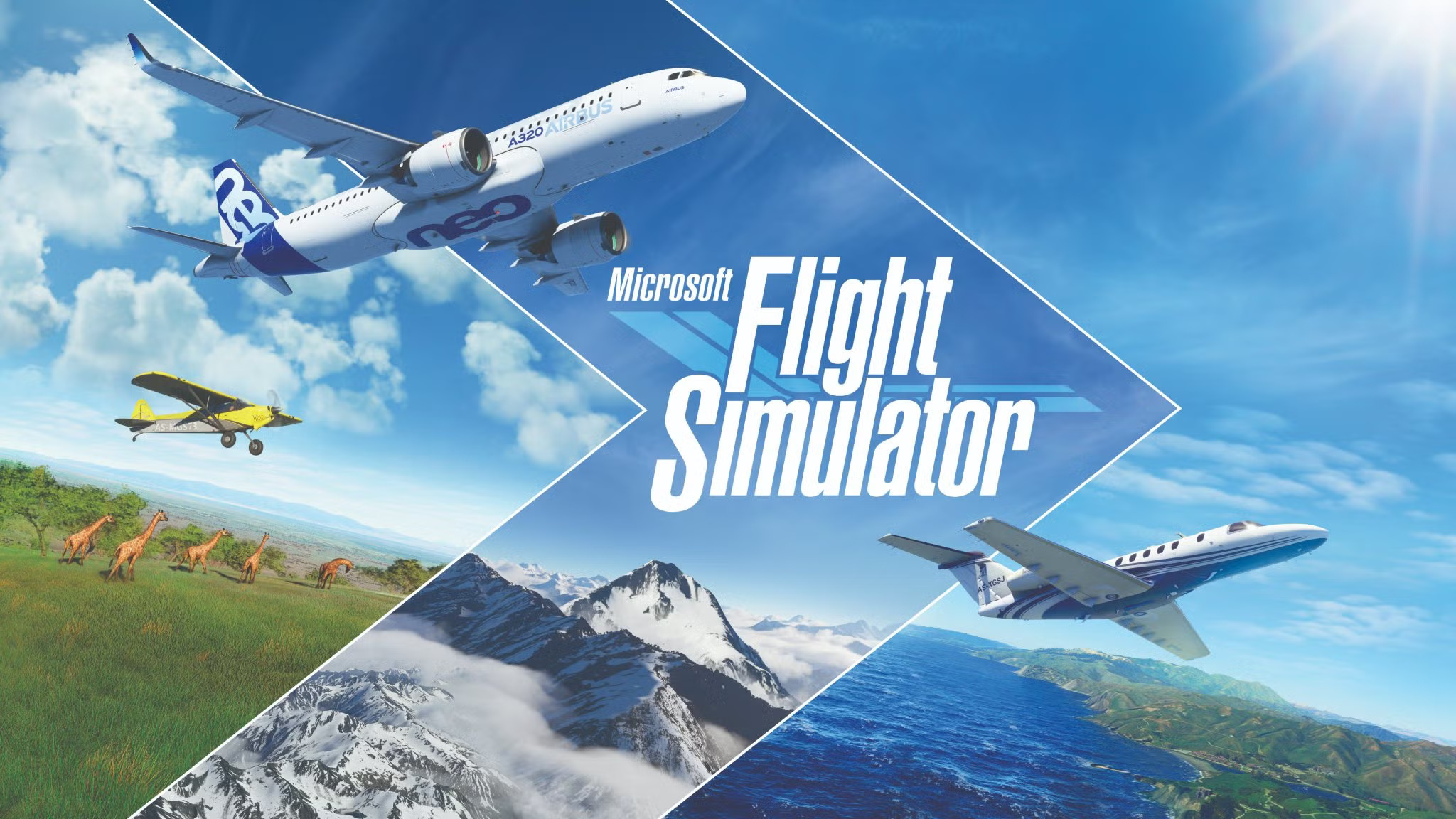 Obrázek hry Flight Simulator